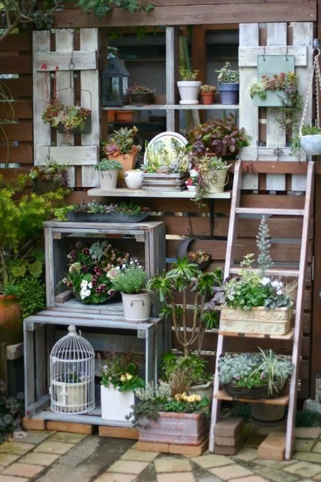 Cajones de madera, repisa de madera en forma de escalera y jardineras con plantas y suculentas.