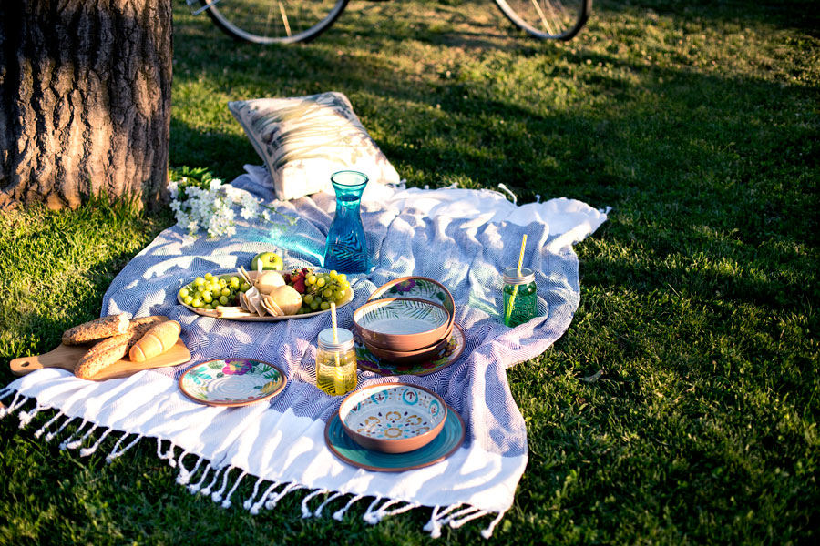 celebracion dos picnic