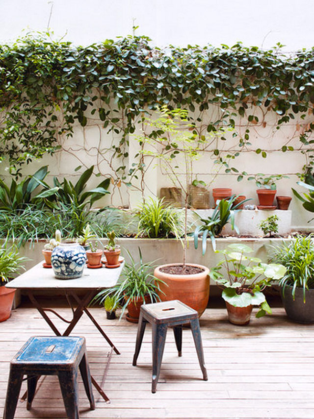 Terraza con jardineras a lo largo del muro con variedad de plantas. Fila de macetas con plantas, una mesa con cactus y suculentas, jarrón de loza azul con blanco y pisos metálicos.