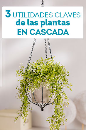 3 utilidades clave de las plantas en cascada