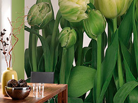 Cómo decorar un muro con el look Greenstudio