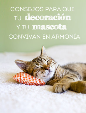 Consejos para que tu decoración y tu mascota convivan en armonía