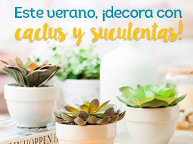 Este verano, ¡decora con cactus y suculentas!