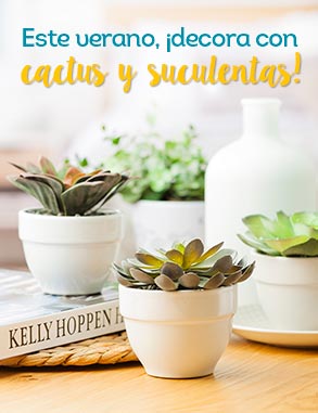 Este verano, ¡decora con cactus y suculentas!