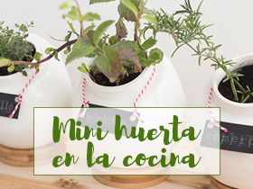 DIY: Mini huerta en la cocina