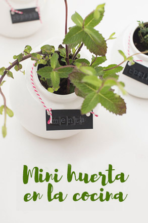 Mini huerta en la cocina