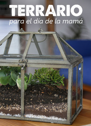 Terrario para el día de la mamá