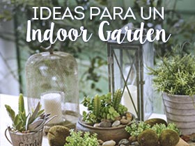 Ideas para crear un indoor garden