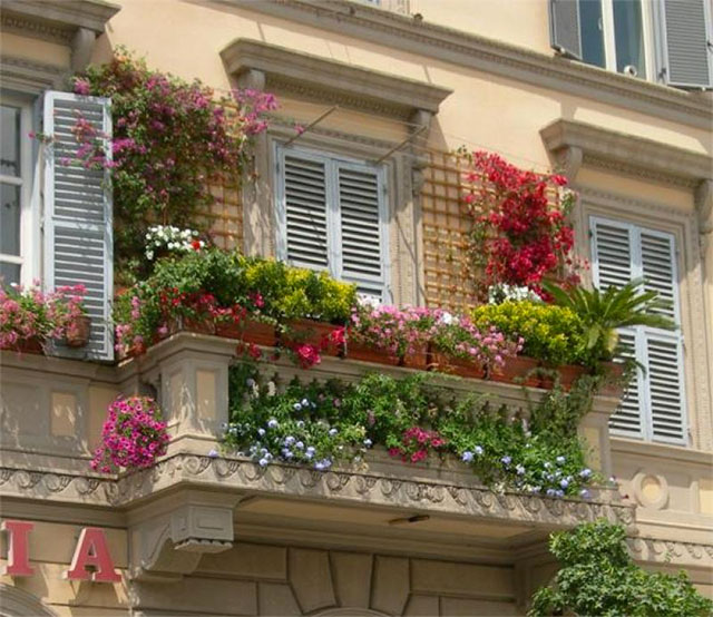 Balcón pequeño, maceteros tipo jardineras por el borde del balcón con plantas y flores, a los costados de la salida al balcón un enrejado de madera con plantas trepadoras florecidas.