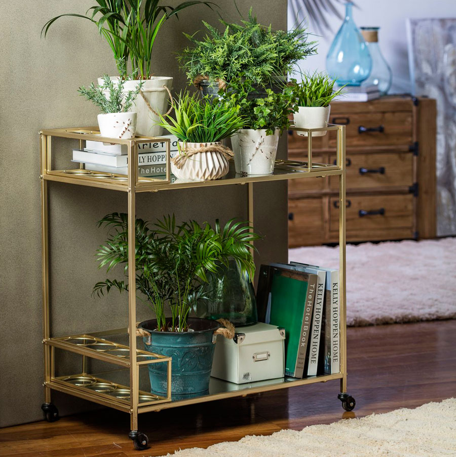 5 reglas decorativas que puedes romper plantas