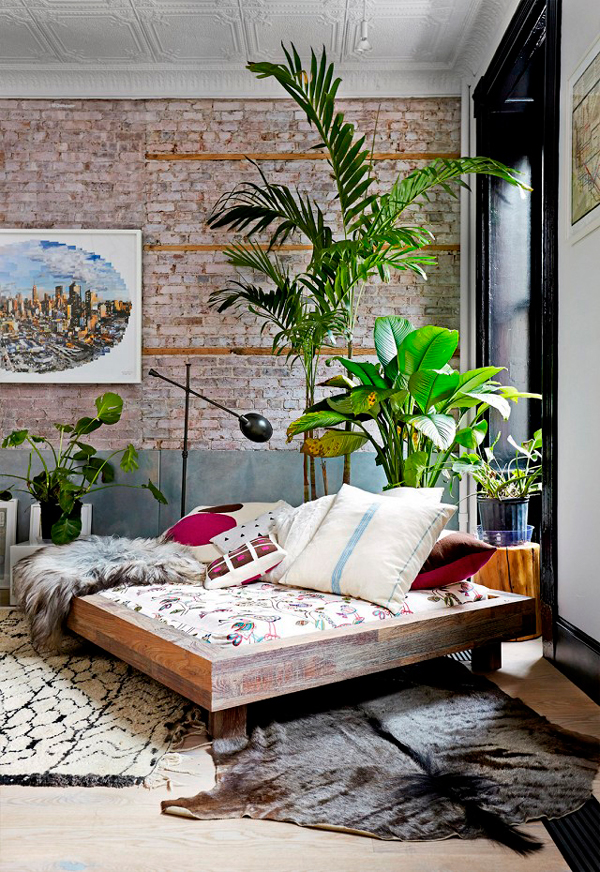 living plantas naturales chic