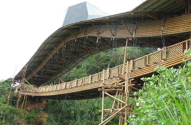 Puente construído en guadua o también conocido como bambú americano.