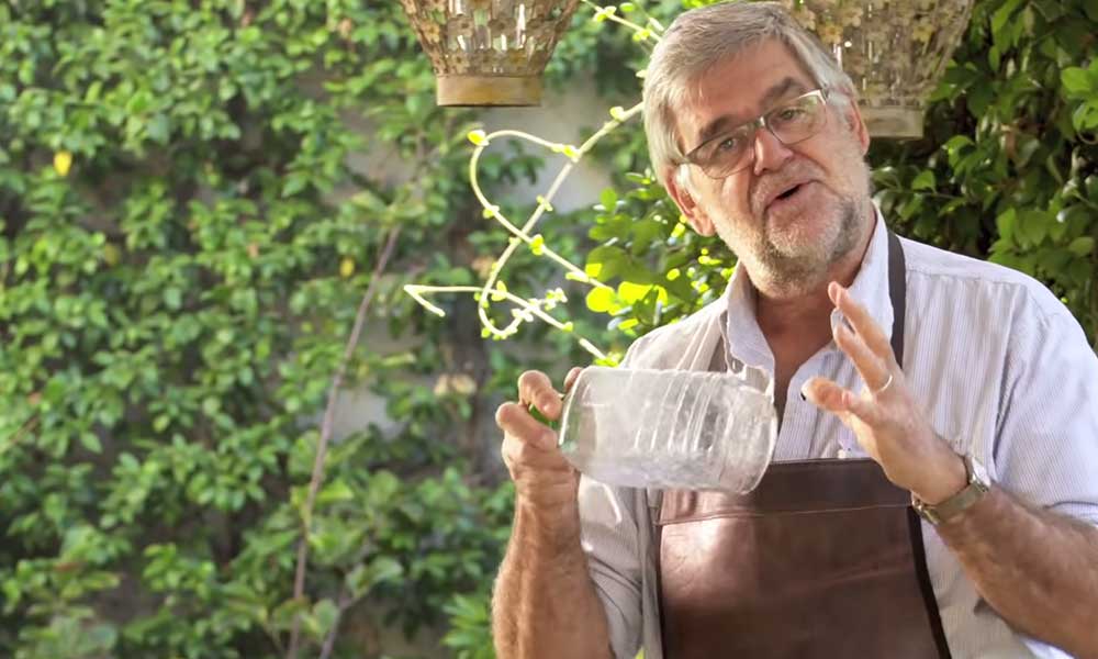 �C�mo hacer una huerta de riego por goteo con botellas recicladas?