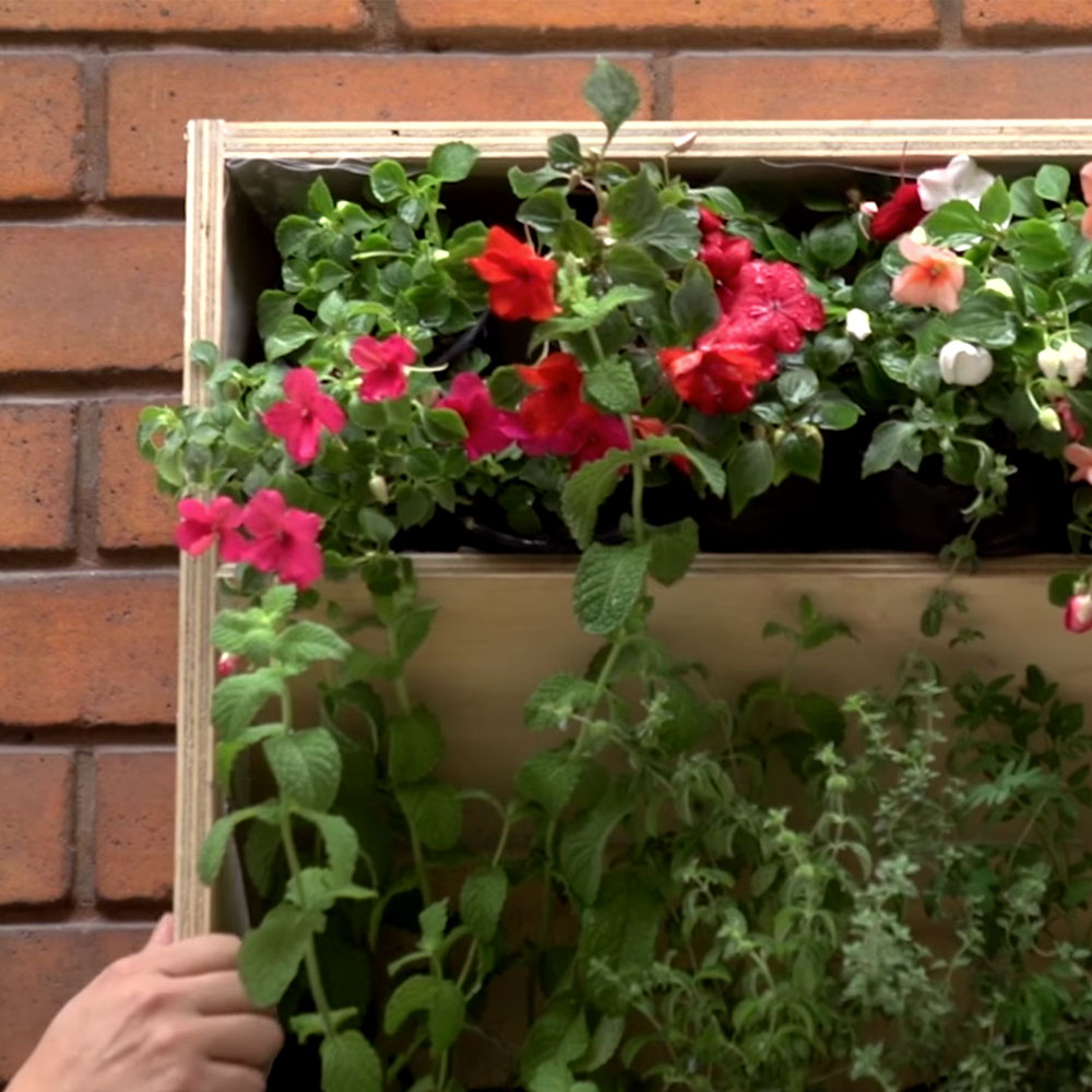 �C�mo hacer una jardinera huerta vertical?