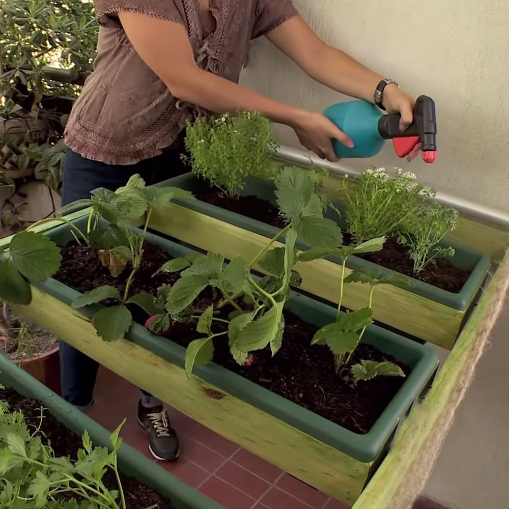 �C�mo hacer una huerta plegable para departamento?