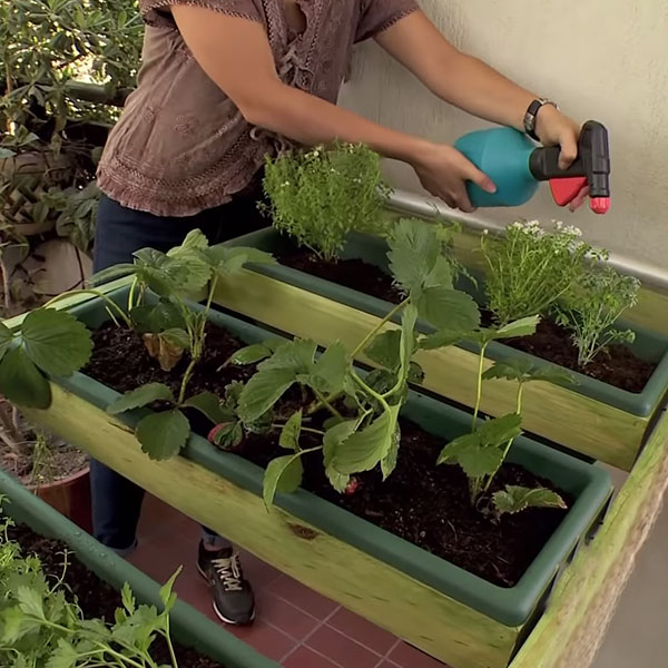 �C�mo hacer una huerta plegable para departamento?