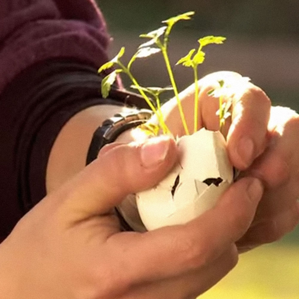 �C�mo hacer alm�cigos para una huerta?