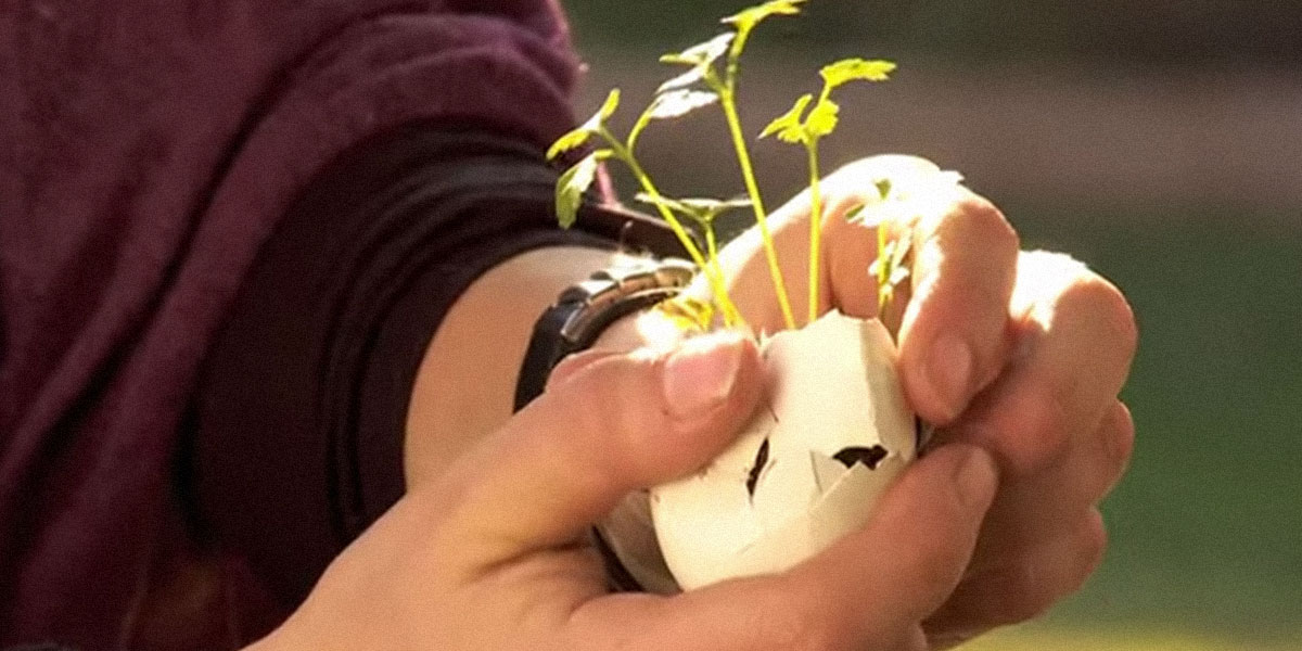 �C�mo hacer alm�cigos para una huerta?