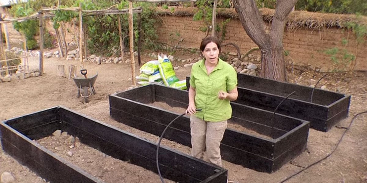 �C�mo hacer una huerta con cajones con riego por goteo?