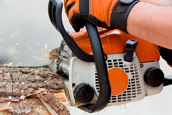 �C�mo elegir Maquinaria de Jard�n?