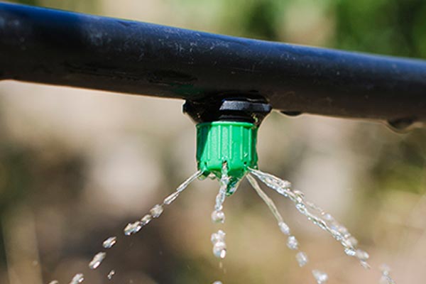 �C�mo elegir motobombas?