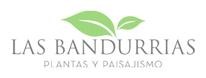 Las Bandurrias
