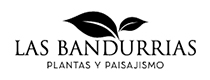 Las Bandurrias