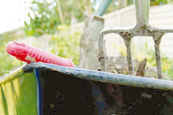 �C�mo realizar multiplicaci�n, trasplante y poda en el Jardin?