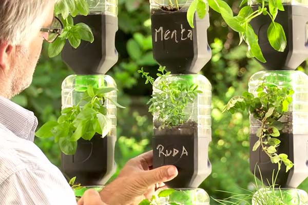 �C�mo hacer una huerta de riego por goteo con botellas recicladas?