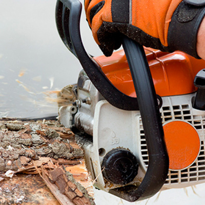 �C�mo elegir maquinaria de Jard�n?