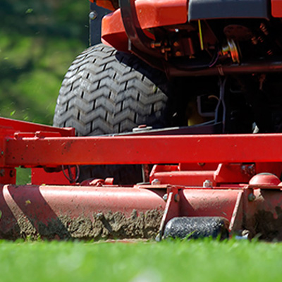 �C�mo elegir el mejor cortacesped?