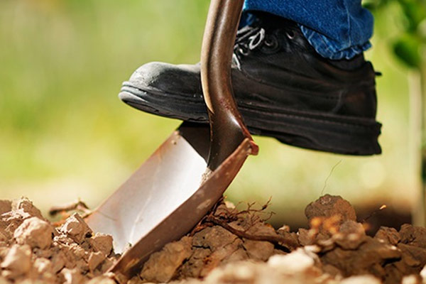 �C�mo elegir palas?