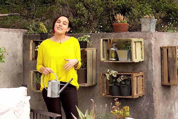 �C�mo hacer estantes de madera envejecida para las plantas?