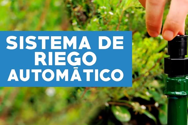 �C�mo implementar un sistema de riego autom�tico en el jard�n?