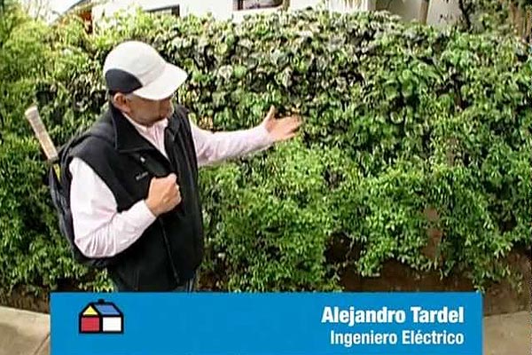 �C�mo mantener y acomodar el riego autom�tico?