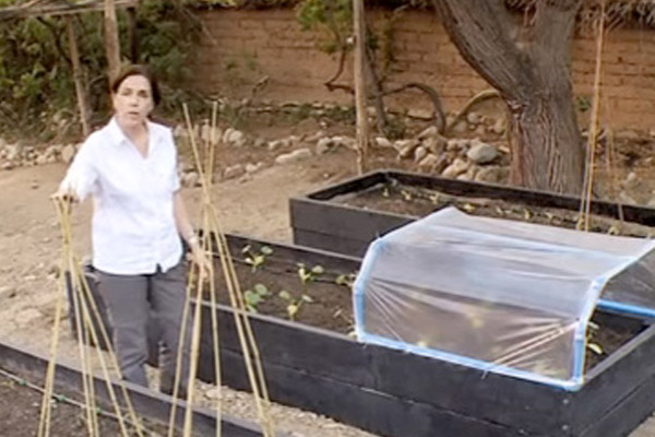 Consejos de Jardiner�a