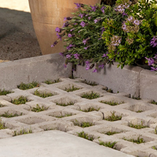 Consejos pr�cticos