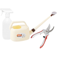 �Qu� necesitas para el cuidado del bons�i?