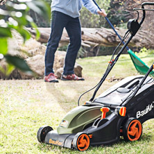 ¿Qué se puede podar?