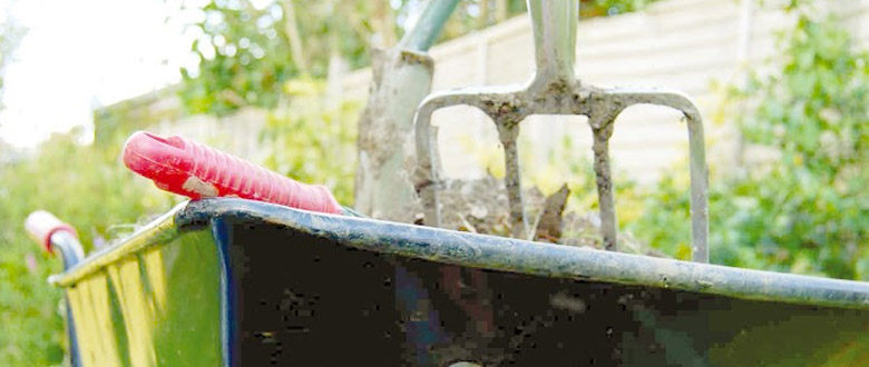 Labores para el cuidado de tu jardín