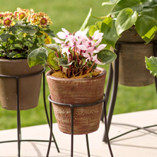 Maceteros de greda y hormig�n