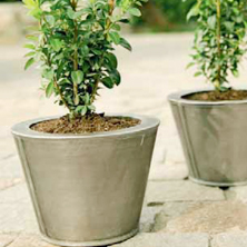 Maceteros de pl�stico