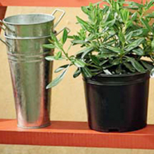 Consejos pr�cticoss