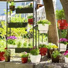 Macetas y decoraci�n