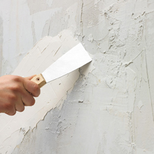 Características de la pasta muro