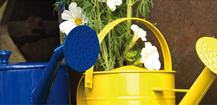 �C�mo elegir pinturas en spray?1