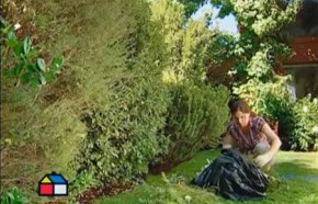 �C�mo cuidar el jard�n antes que comience el fr�o?