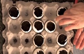 �C�mo hacer alm�cigos?