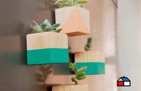 �C�mo hacer imanes decorativos con suculentas?