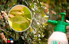 �C�mo hacer multiplicaci�n por acodo?